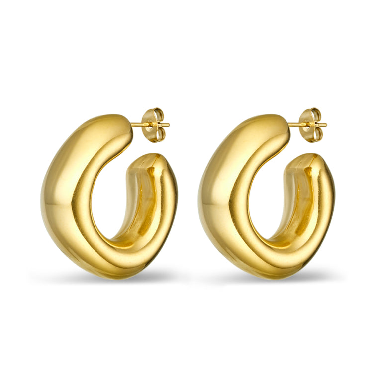 Zarae Hoops