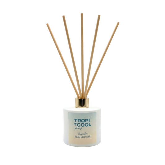 SUNSEEKER | Coconut & Lime