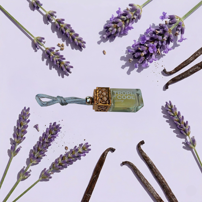SUNSET DREAMS| Lavender & Vanilla