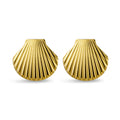 Seashell Studs