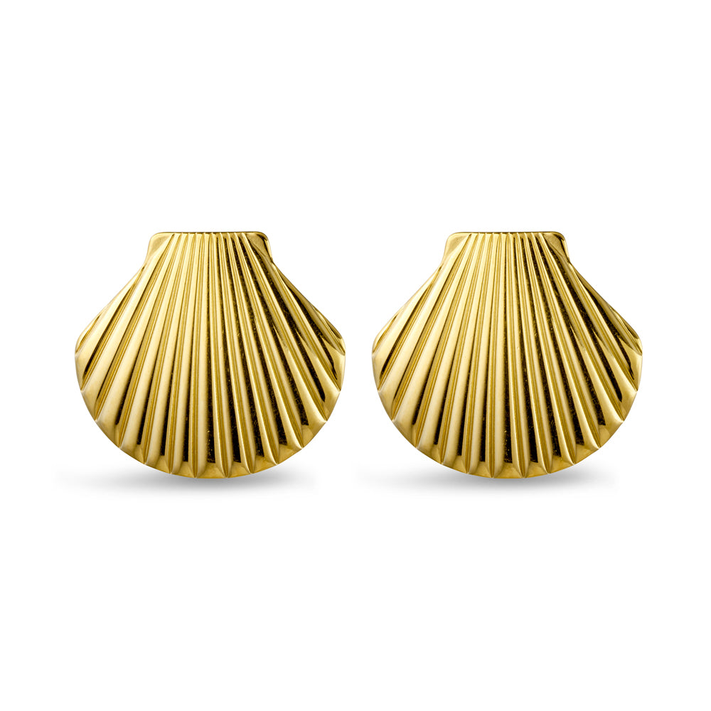 Seashell Studs