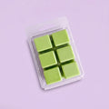 Sunseeker | Coconut & Lime Wax Melts